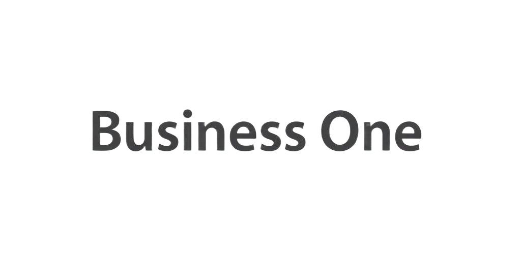 Integración Egixia con SAP Business One